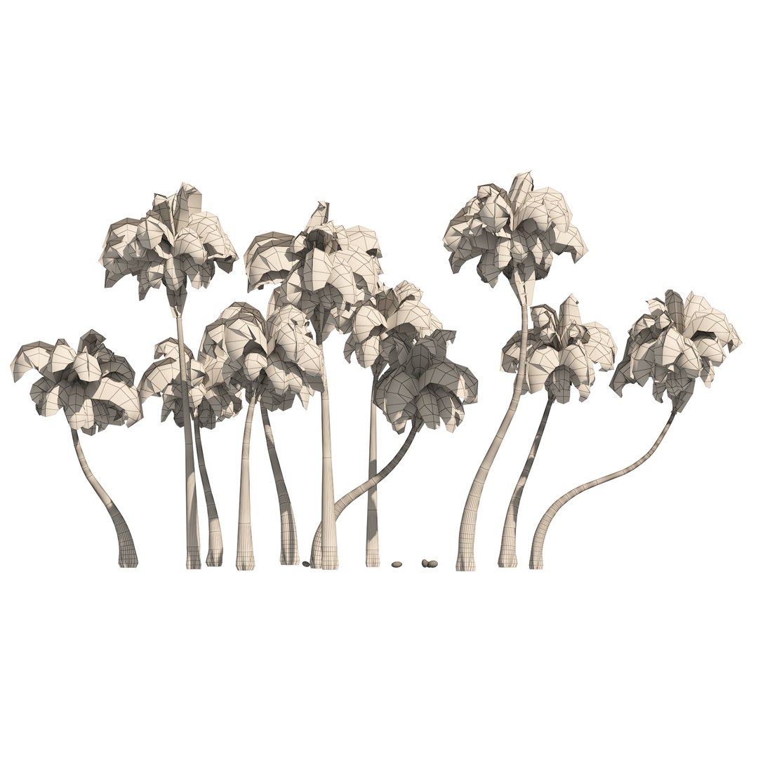 Outdoor Palms 3d Pack Collection model https://p.turbosquid.com/ts-thumb/Wo/R8Kh6i/kf/wire/jpg/1656111850/1920x1080/fit_q87/a9503de22e1f3f9b5cf8a56036ad2aa15507481c/wire.jpg