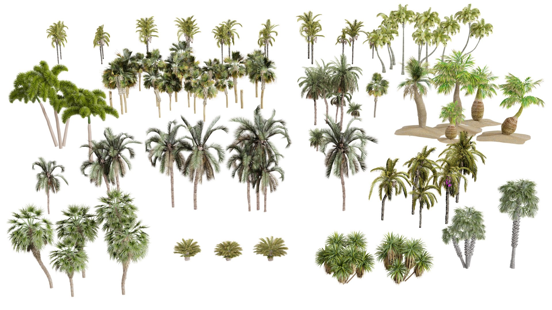 Outdoor Palms 3d Pack Collection model https://p.turbosquid.com/ts-thumb/Wo/R8Kh6i/mg/z02/jpg/1721829548/1920x1080/fit_q87/6e5e08cbc5b980e3e54fb31175308ca7e4c723a9/z02.jpg