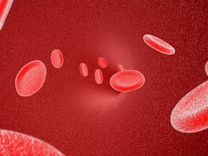 CELLS