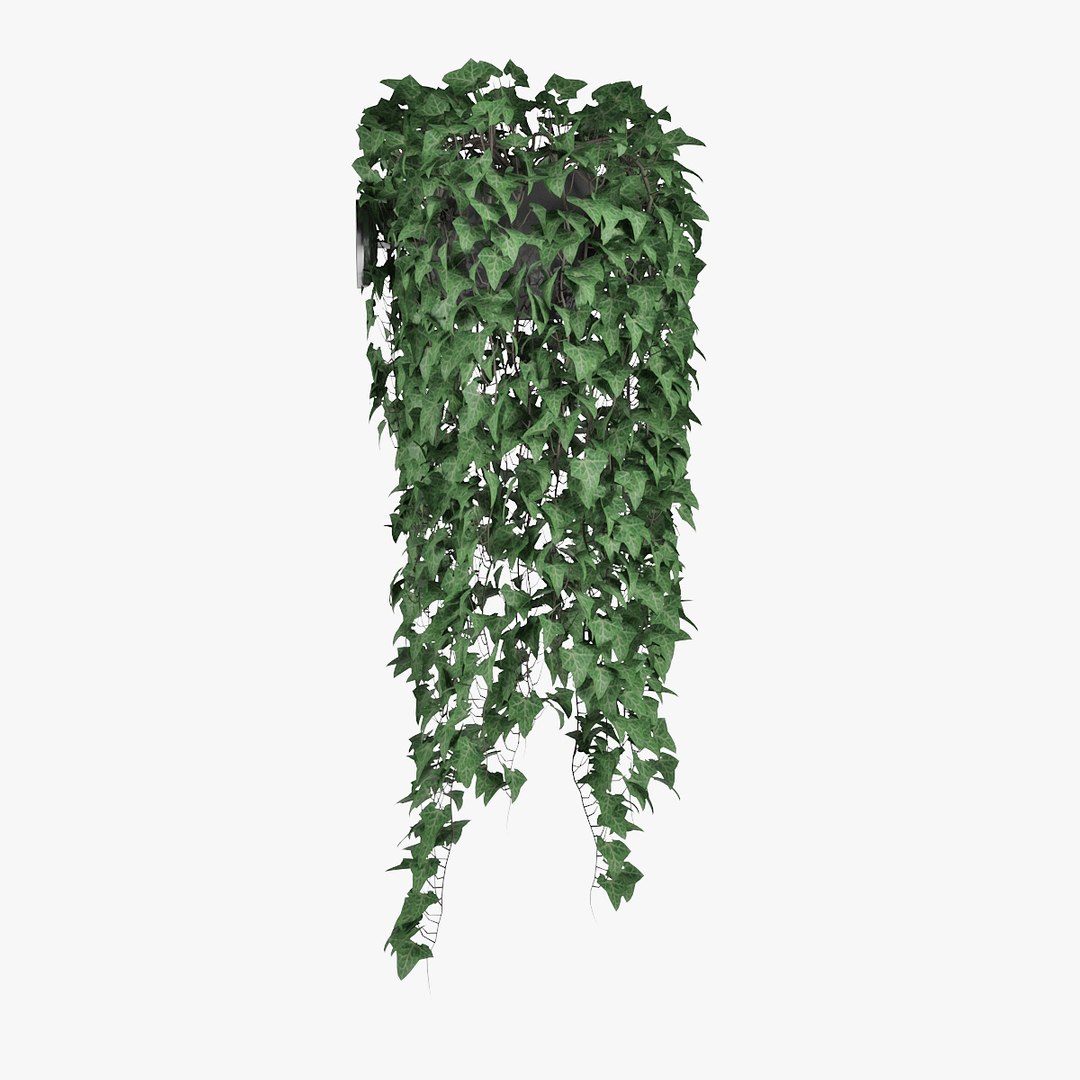 Ivy Pot 3D Model - TurboSquid 1429556