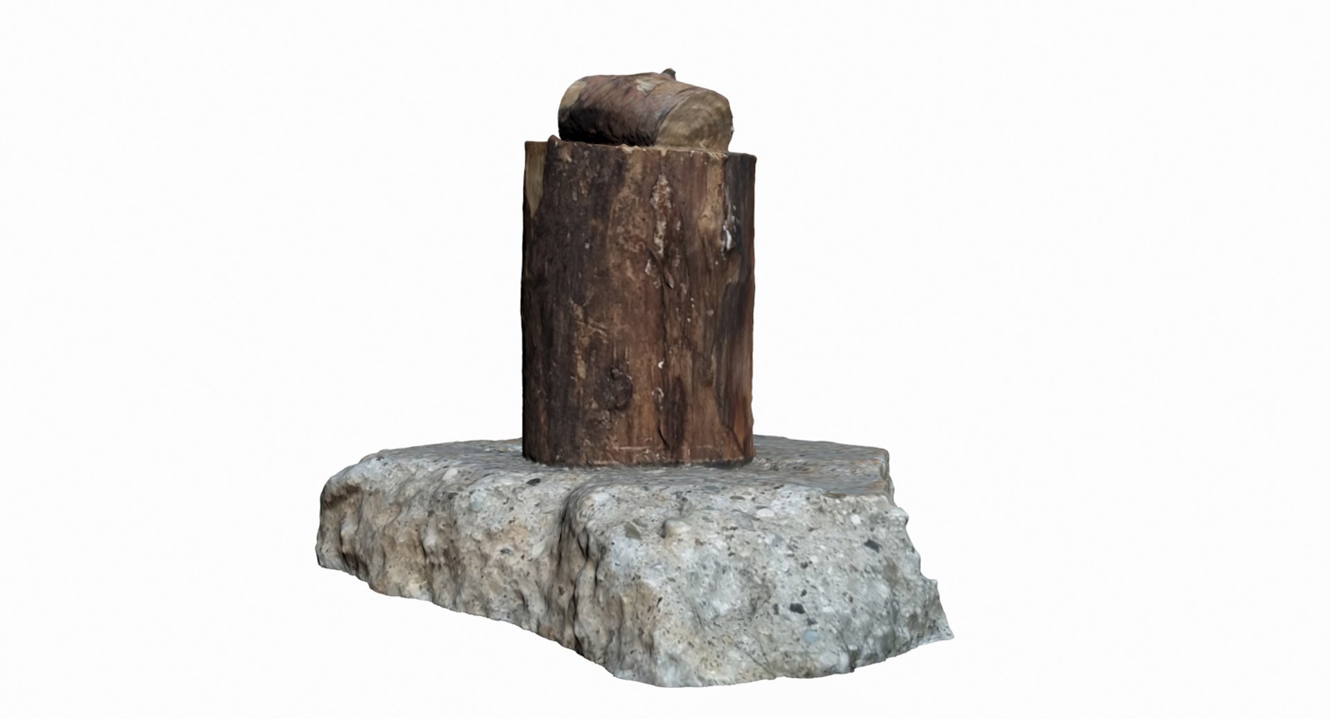 3D log scanned https://p.turbosquid.com/ts-thumb/Wo/jd57BU/jP5Vo323/3/jpg/1551363215/1920x1080/fit_q87/975d30c433b9659d85669dbdcd96b76b6e2e9bd8/3.jpg