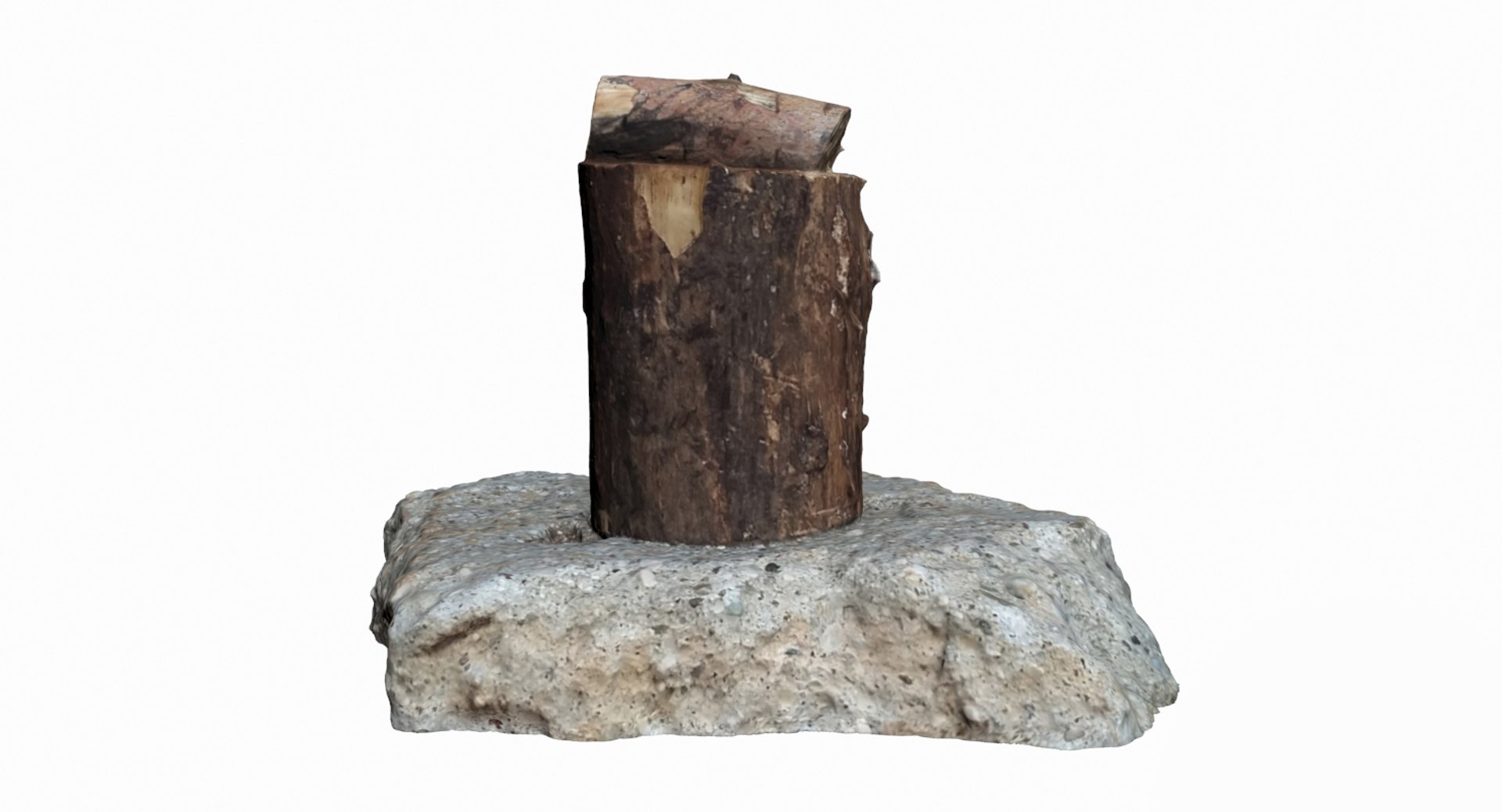 3D log scanned https://p.turbosquid.com/ts-thumb/Wo/jd57BU/mUhrtW4F/2/jpg/1551363215/1920x1080/fit_q87/8a4e0b4b3c885b0a94640bbd2c1d5622de286ffd/2.jpg