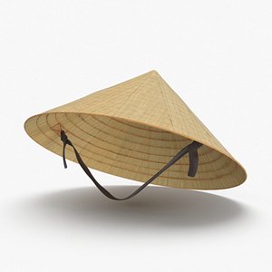 vietcong-rice-hat---on-head 3D model