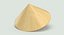 Vietnamese Rice Hat