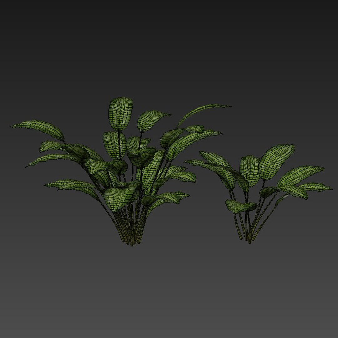 tropical set 01 3D model https://p.turbosquid.com/ts-thumb/Wp/BcEEwq/0XHrq71p/07/jpg/1507589191/1920x1080/fit_q87/92bfacac9ac1cb22c444f8182fd7c3321777cd43/07.jpg