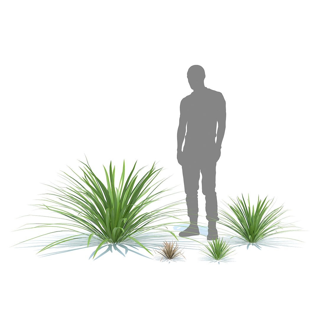 tropical set 01 3D model https://p.turbosquid.com/ts-thumb/Wp/BcEEwq/46E9tQSd/05/jpg/1507589191/1920x1080/fit_q87/93be8a4da789ac406a391a126ab9d8892c8133ff/05.jpg