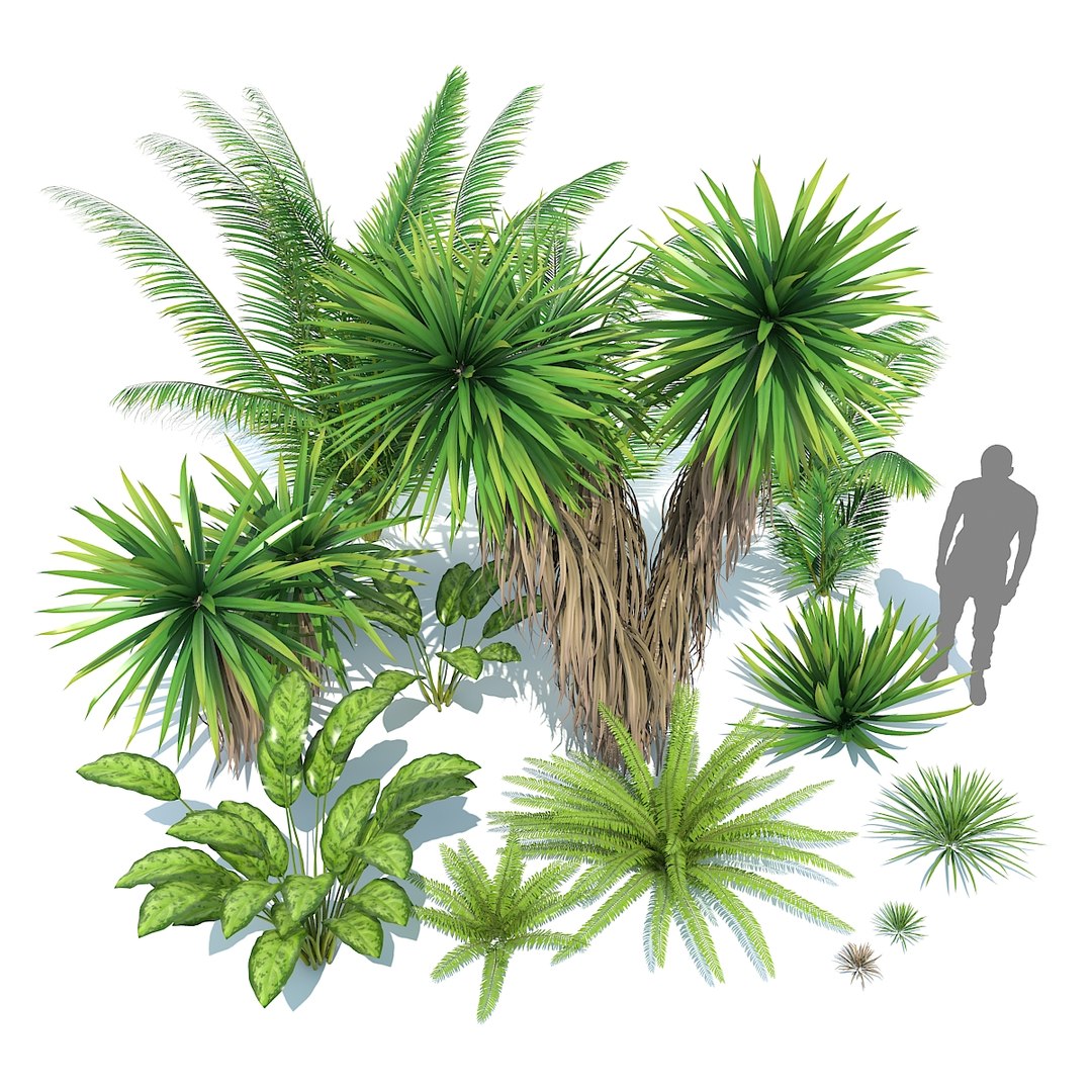 tropical set 01 3D model https://p.turbosquid.com/ts-thumb/Wp/BcEEwq/6e9KWmlG/00/jpg/1507589190/1920x1080/fit_q87/ff3391b4aafd7437c670178eb74c682baa29f13d/00.jpg