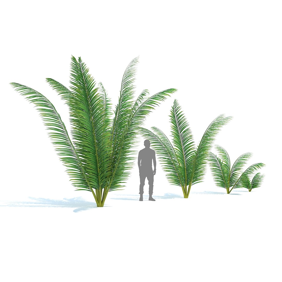 tropical set 01 3D model https://p.turbosquid.com/ts-thumb/Wp/BcEEwq/BBF5SECp/03/jpg/1507589191/1920x1080/fit_q87/76ecc5d1524ac9fa2fe1cc04951b6a655517e123/03.jpg