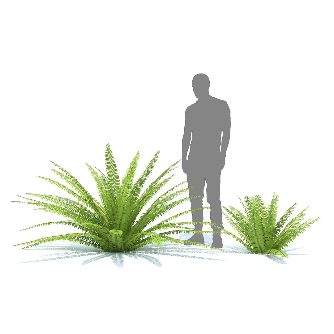 tropical set 01 3D model https://p.turbosquid.com/ts-thumb/Wp/BcEEwq/VmgBT9vn/04/jpg/1507589191/1920x1080/fit_q87/dddc844900c9c6ce5027da88ce86859dcd3089d2/04.jpg
