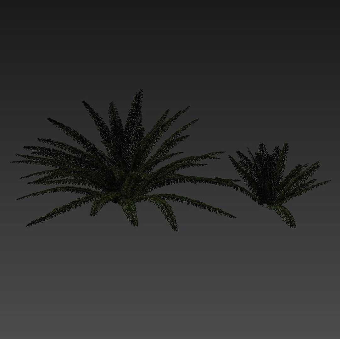 tropical set 01 3D model https://p.turbosquid.com/ts-thumb/Wp/BcEEwq/mXKuOk0e/09/jpg/1507589191/1920x1080/fit_q87/89d97c313a3a41b7390e8fd3721e7517f17811f4/09.jpg