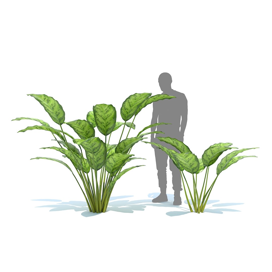 tropical set 01 3D model https://p.turbosquid.com/ts-thumb/Wp/BcEEwq/ne2DkthP/06/jpg/1507589191/1920x1080/fit_q87/d083e6315c0d13de66f32527be158301c3b5c028/06.jpg