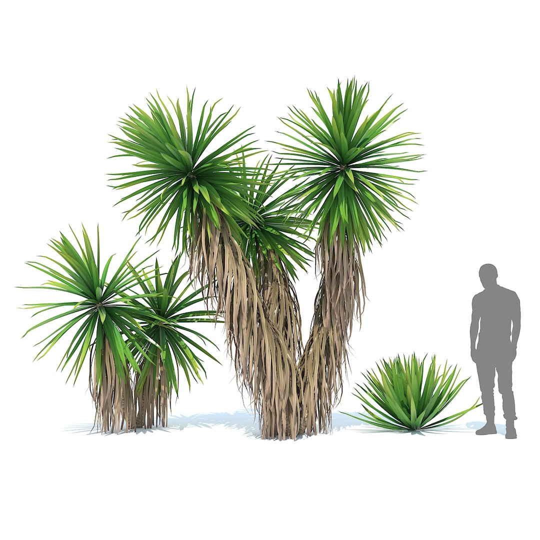 tropical set 01 3D model https://p.turbosquid.com/ts-thumb/Wp/BcEEwq/rU73X1Cl/01/jpg/1507589190/1920x1080/fit_q87/1fcd233cb6ce9495bbc0e0fa538a30b9a26197b4/01.jpg