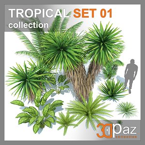 tropical set 01 3D model