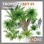 TROPICAL SET 01