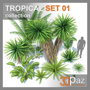 TROPICAL SET 01