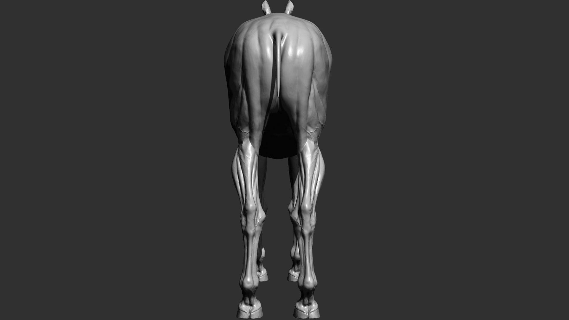 Horse Realistic VFX and Game Ready model https://p.turbosquid.com/ts-thumb/Wp/Dwcxh8/0Y/productimage4/jpg/1633307315/1920x1080/fit_q87/7c152eef6e4918bd8a860ba19c06cb8afb58e95b/productimage4.jpg