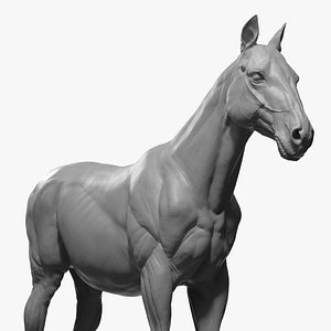 Horse Realistic VFX and Game Ready model