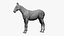 Horse Realistic VFX e Game Ready Model