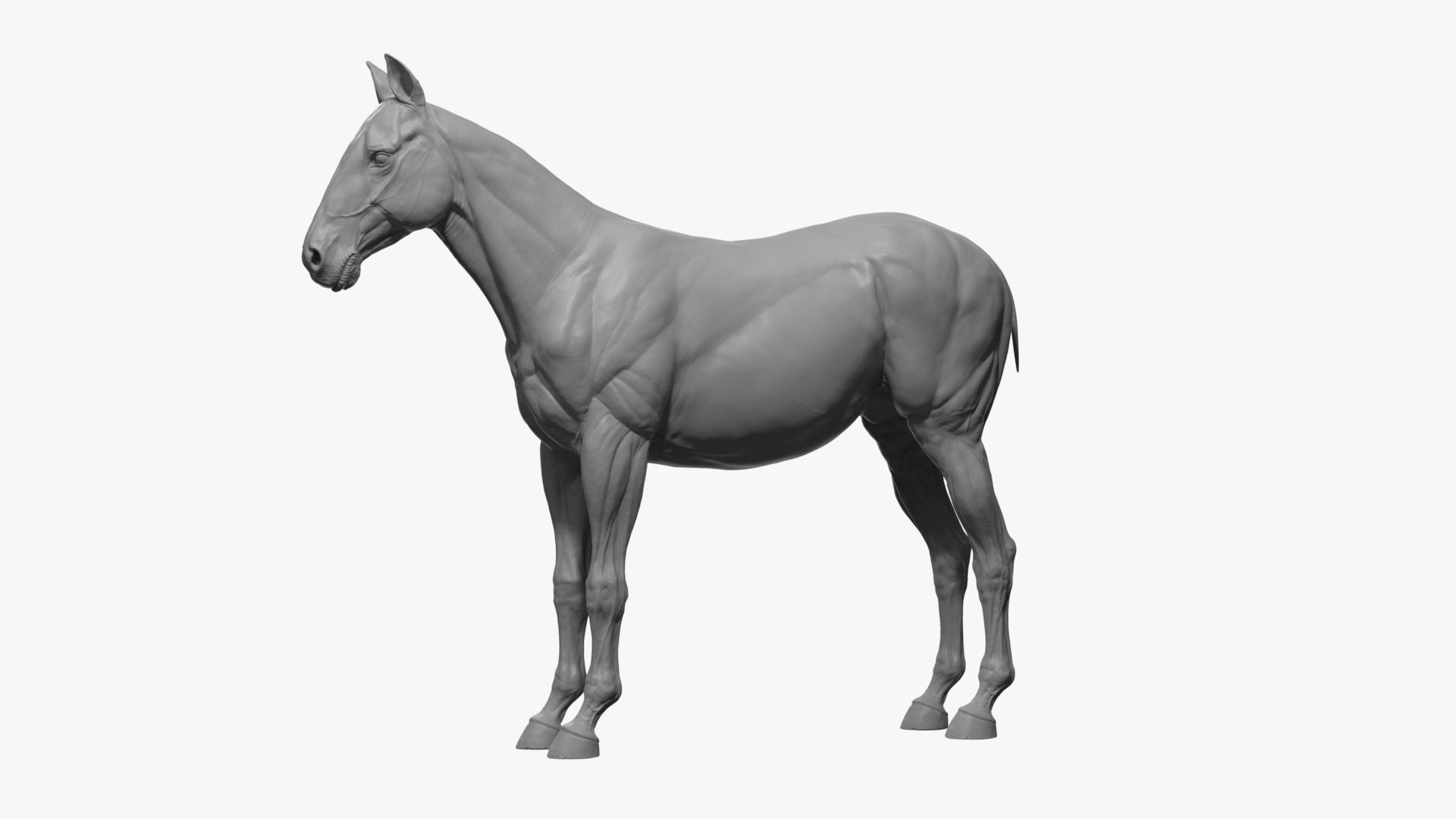 Horse Realistic VFX and Game Ready model https://p.turbosquid.com/ts-thumb/Wp/Dwcxh8/KB/turntable/jpg/1633307357/1920x1080/turn_fit_q99/aa61865eee3f255dc5b5cfc13aff7a5ec7c6d8e8/turntable-1.jpg