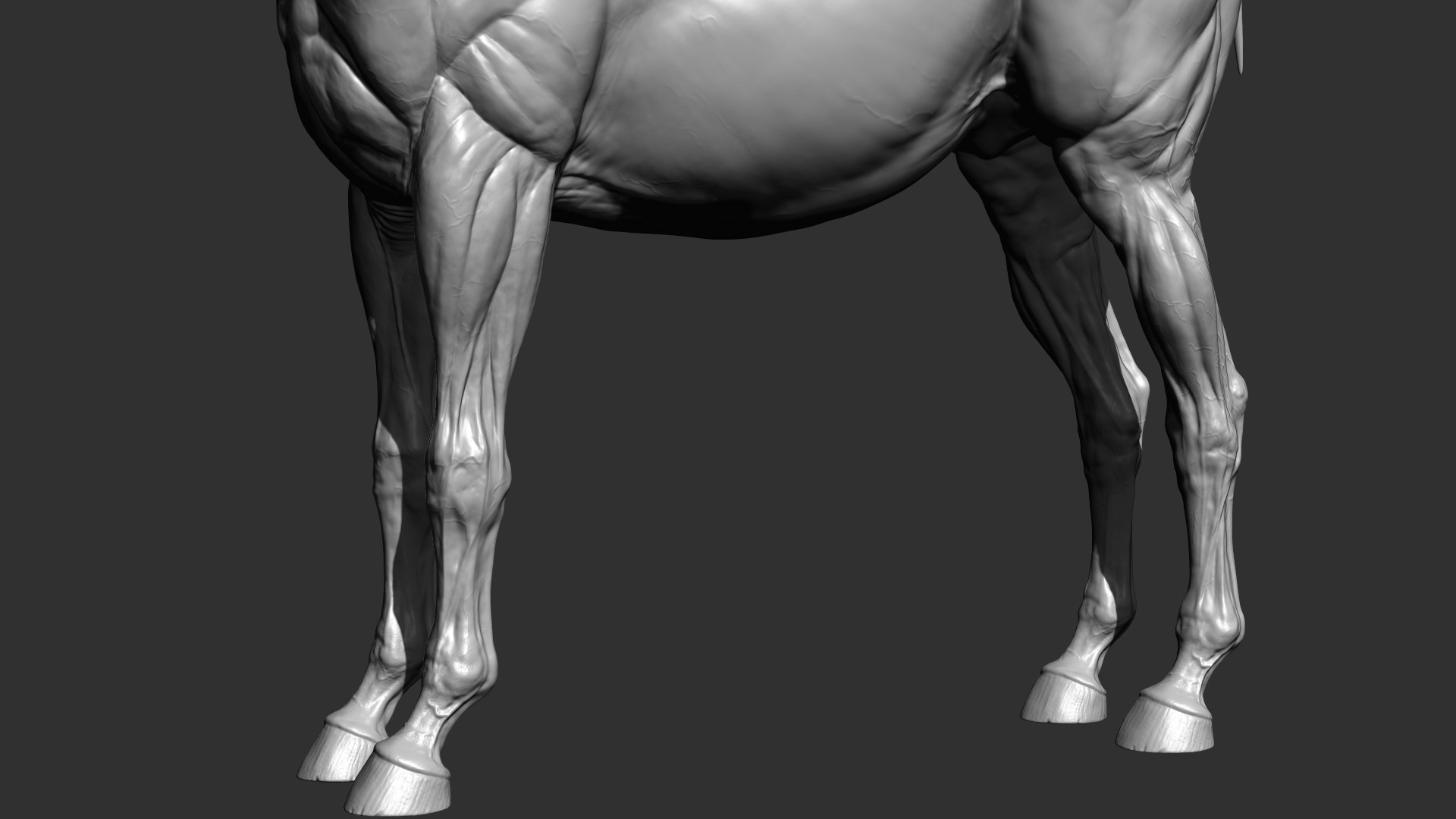 Horse Realistic VFX and Game Ready model https://p.turbosquid.com/ts-thumb/Wp/Dwcxh8/Qm/productimage2/jpg/1633307210/1920x1080/fit_q87/020f3920b00a2fb174a91248598521ef01743881/productimage2.jpg