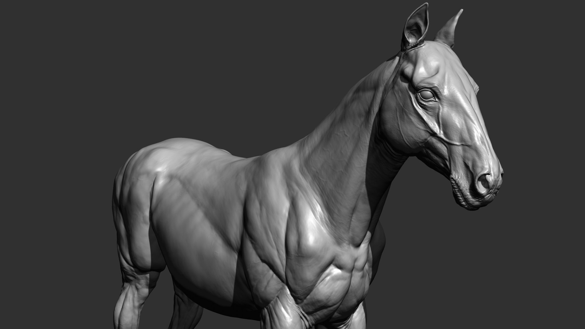 Horse Realistic VFX and Game Ready model https://p.turbosquid.com/ts-thumb/Wp/Dwcxh8/VE/productimage3/jpg/1633307316/1920x1080/fit_q87/118a512ff031c1bc1f6deec10926c224039ad65c/productimage3.jpg