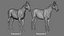 Horse Realistic VFX e Game Ready Model