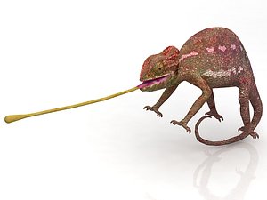 3D Chameleon model