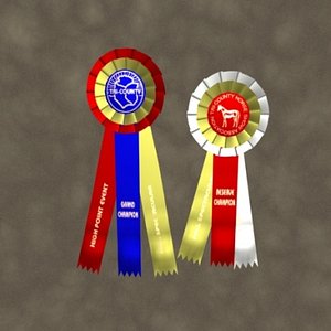 AW01ChampionRibbons