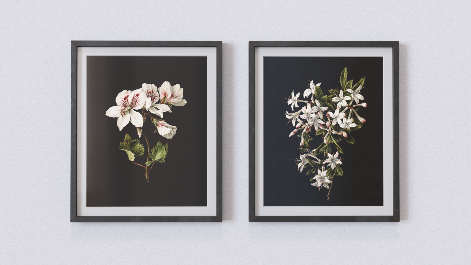 Vintage Botanical Collection 3D - TurboSquid 2228697