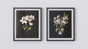 Vintage Botanical Collection 3D