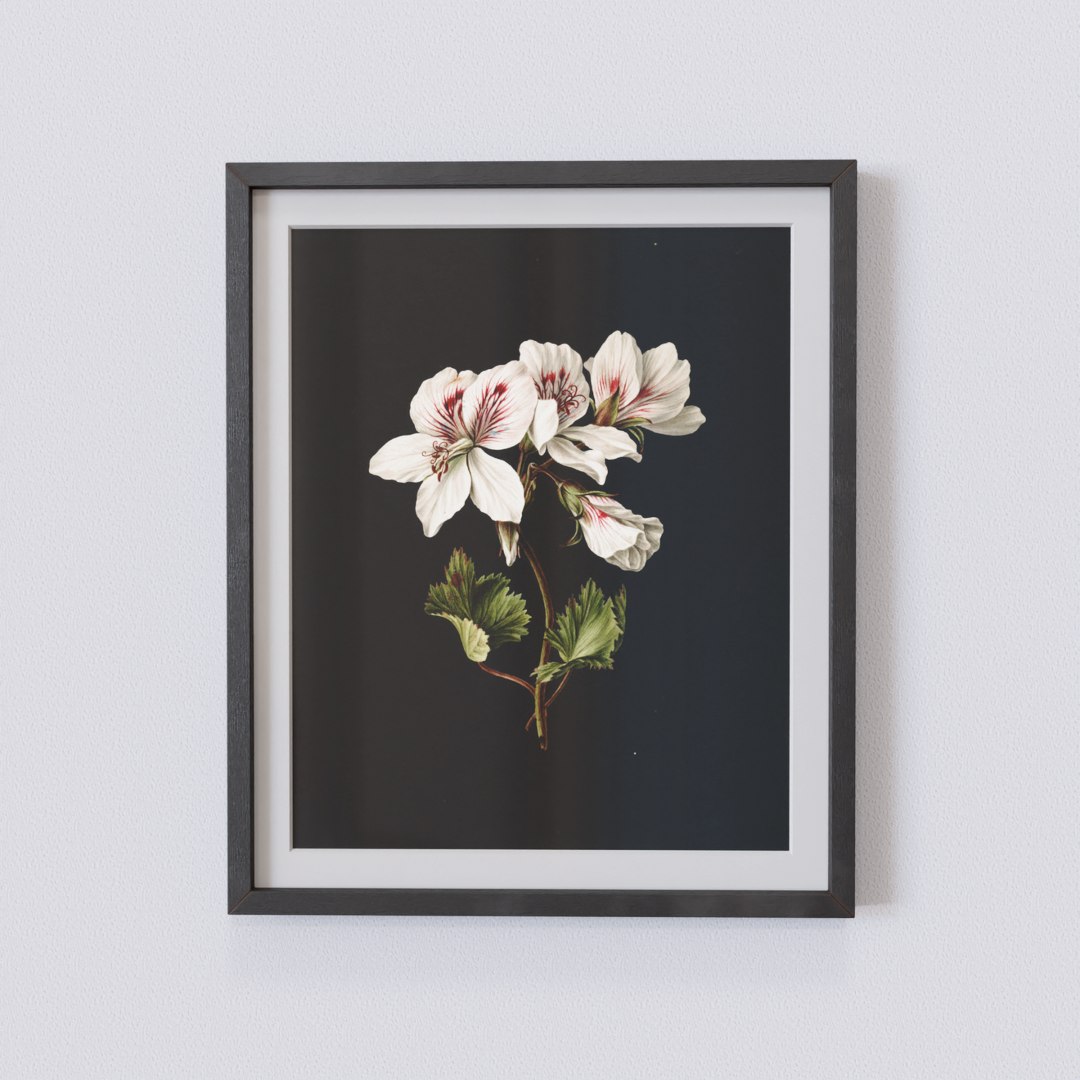 Vintage Botanical Collection 3D - TurboSquid 2228697