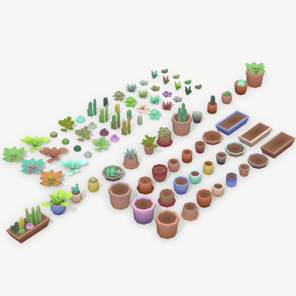 Low Poly Succulent Plant Set model