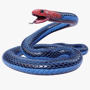Animated Blue Coral Snake