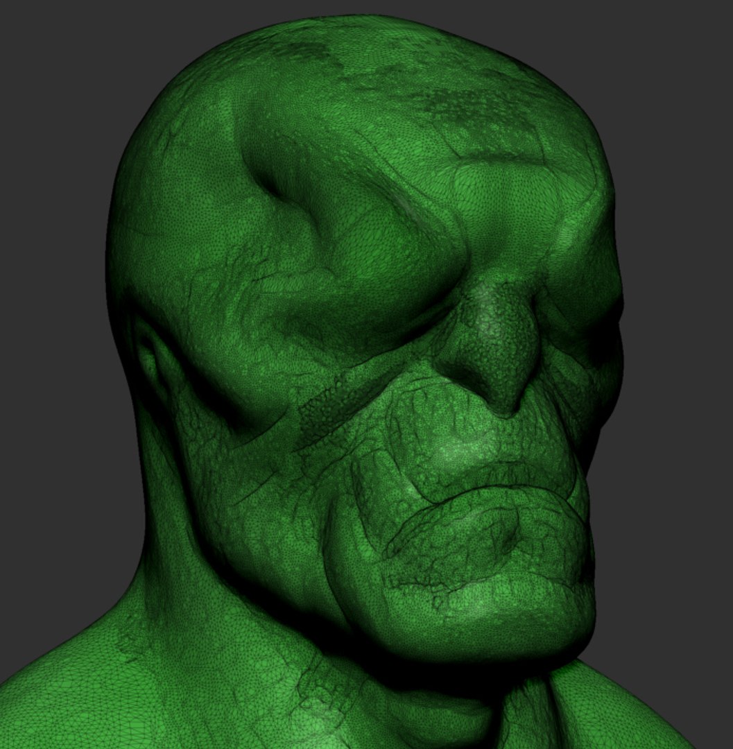 Creature Head Reference 3D - TurboSquid 1314269