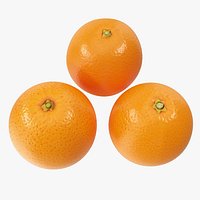 Oranges 04-06