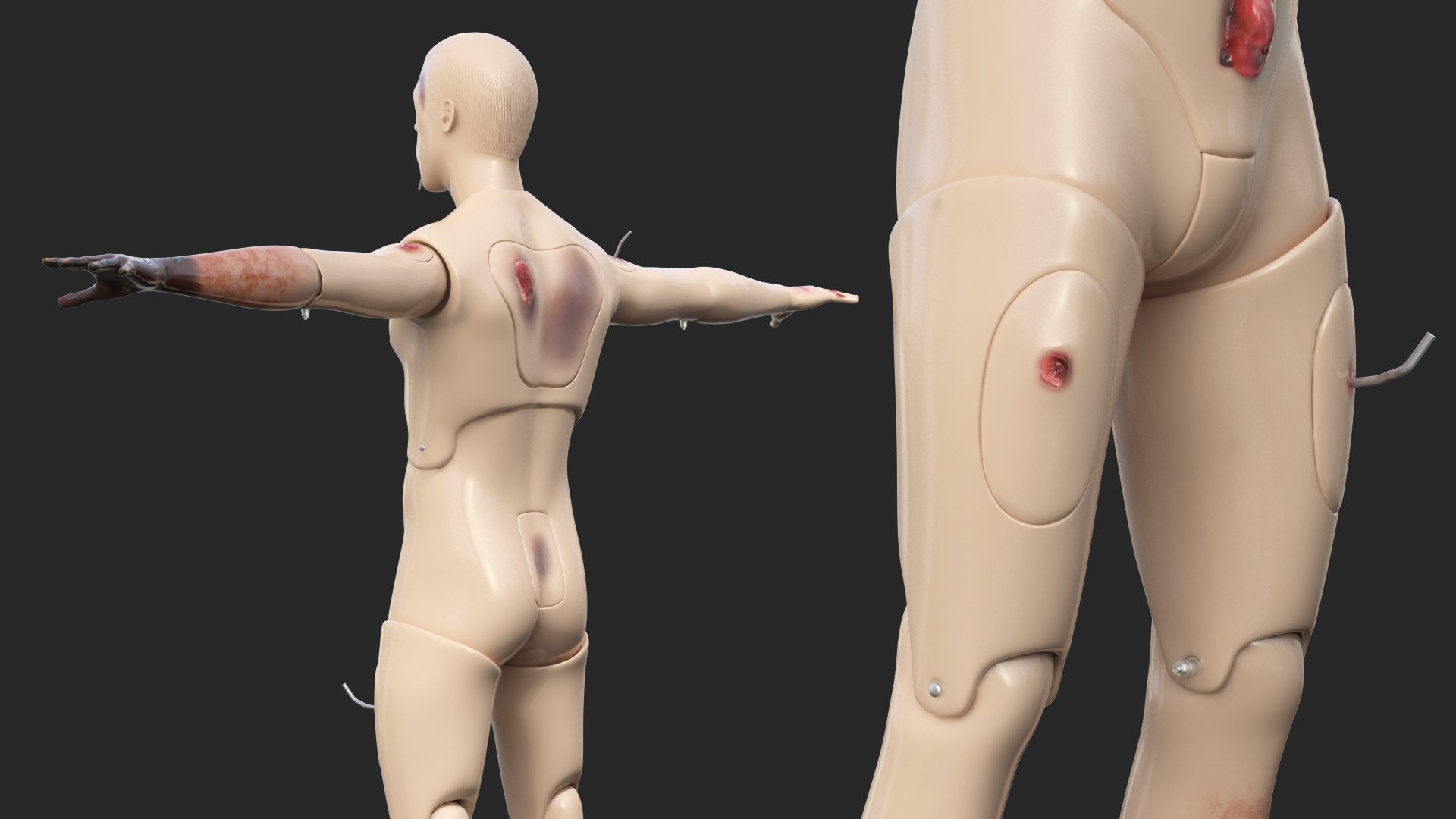 trauma extrication manikin t-pose 3D model https://p.turbosquid.com/ts-thumb/Wq/PI79as/1S60cySP/traumaandextricationmanikintposec4dmodel022/jpg/1582318461/1920x1080/fit_q87/d509fed587e95b6dff51c31be29d6e534926ca01/traumaandextricationmanikintposec4dmodel022.jpg