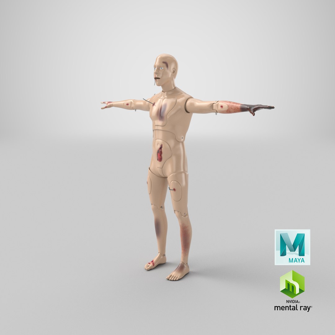trauma extrication manikin t-pose 3D model https://p.turbosquid.com/ts-thumb/Wq/PI79as/Jj/stemcell_maya_mental_ray_render/png/1631705671/1920x1080/fit_q87/9129906b87f89b8d2713cc76b8c0fa506b400a13/stemcell_maya_mental_ray_render.jpg