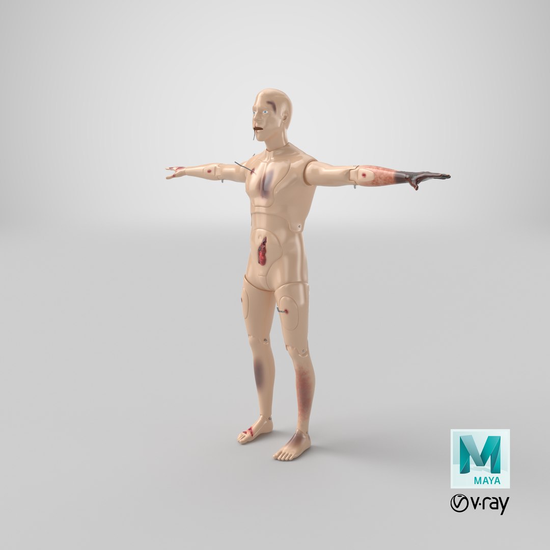 trauma extrication manikin t-pose 3D model https://p.turbosquid.com/ts-thumb/Wq/PI79as/Jx/stemcell_maya_vray_render/png/1631705672/1920x1080/fit_q87/f664acaf4143ef096a2606cd7182dab008c80189/stemcell_maya_vray_render.jpg