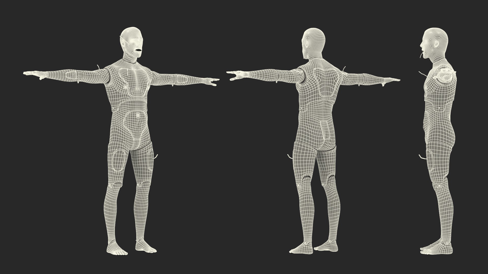 trauma extrication manikin t-pose 3D model https://p.turbosquid.com/ts-thumb/Wq/PI79as/SjRQA3xR/traumaandextricationmanikintposec4dmodel033/jpg/1582318527/1920x1080/fit_q87/9e20b0bf359005ebd4202b3213dcb4110e358d1c/traumaandextricationmanikintposec4dmodel033.jpg