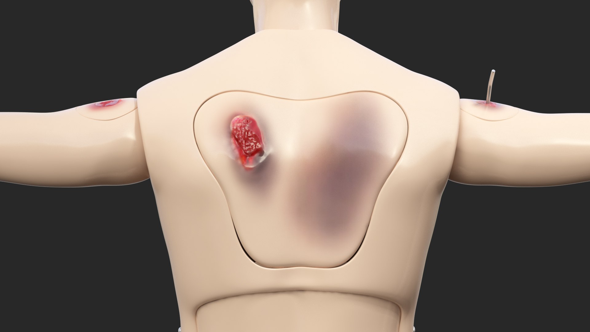 trauma extrication manikin t-pose 3D model https://p.turbosquid.com/ts-thumb/Wq/PI79as/THr2VuhE/traumaandextricationmanikintposec4dmodel018/jpg/1582318435/1920x1080/fit_q87/97837566bd32e15fa0f7bae1c46a0953d2bcfb39/traumaandextricationmanikintposec4dmodel018.jpg