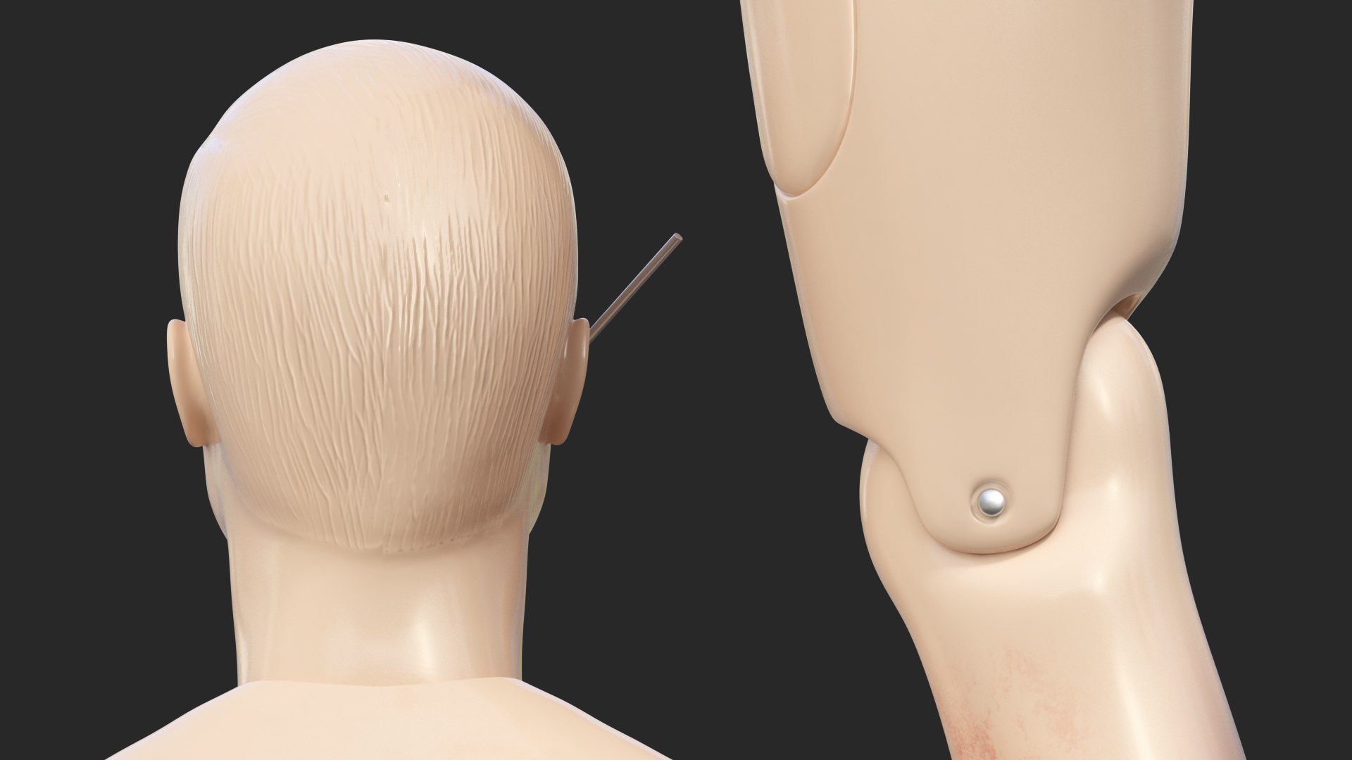 trauma extrication manikin t-pose 3D model https://p.turbosquid.com/ts-thumb/Wq/PI79as/kuWbtuHw/traumaandextricationmanikintposec4dmodel023/jpg/1582318467/1920x1080/fit_q87/e3655e984aa68c65d4181d33f3772f06eecc900f/traumaandextricationmanikintposec4dmodel023.jpg