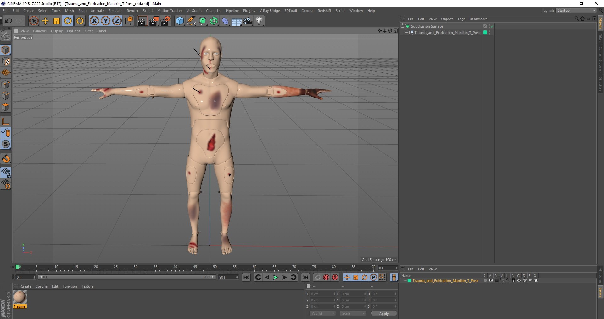 trauma extrication manikin t-pose 3D model https://p.turbosquid.com/ts-thumb/Wq/PI79as/otzKgptR/traumaandextricationmanikintposec4dmodel030/jpg/1582318508/1920x1080/fit_q87/167399bae2cb8ae14cb05b855edd32950b215117/traumaandextricationmanikintposec4dmodel030.jpg