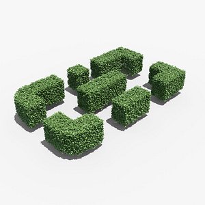 Box Hedge Pack 01