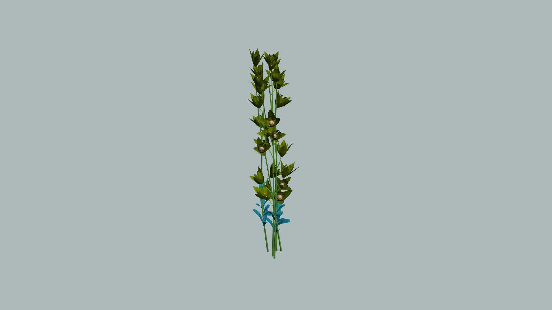 low poly cartoon plants 3D model https://p.turbosquid.com/ts-thumb/Wq/iFQP7X/Gy/4/png/1675940474/1920x1080/fit_q87/705478eb95ff98230d0ab584bd4aab30231d2da6/4.jpg