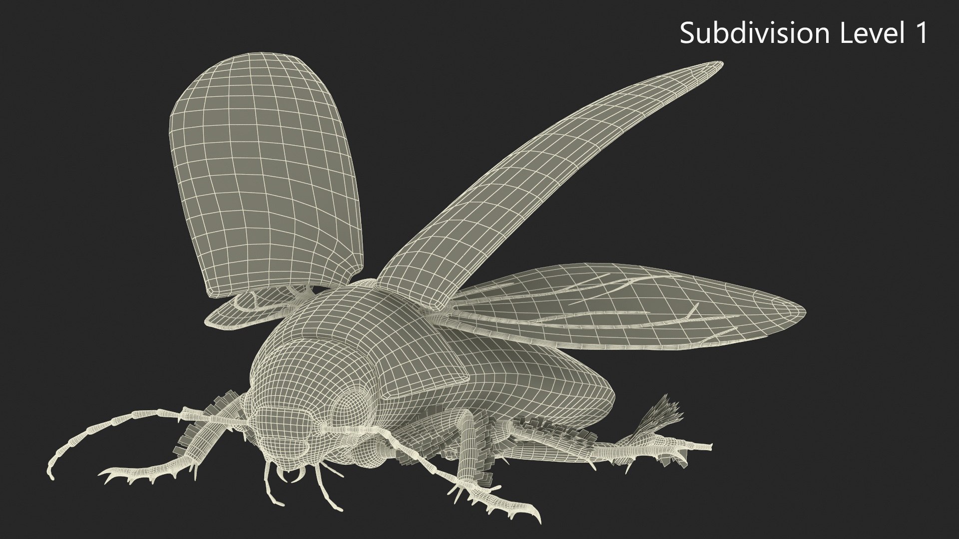 Hygrobia Beetle Beige Realistic Flying 3D model https://p.turbosquid.com/ts-thumb/Wq/kcVtwe/6V/hygrobiabeetlebeigerealisticflyingvray3dmodel023/jpg/1718596253/1920x1080/fit_q87/5dec04f039a26a66168a9c08ab4d2468fd5a4237/hygrobiabeetlebeigerealisticflyingvray3dmodel023.jpg
