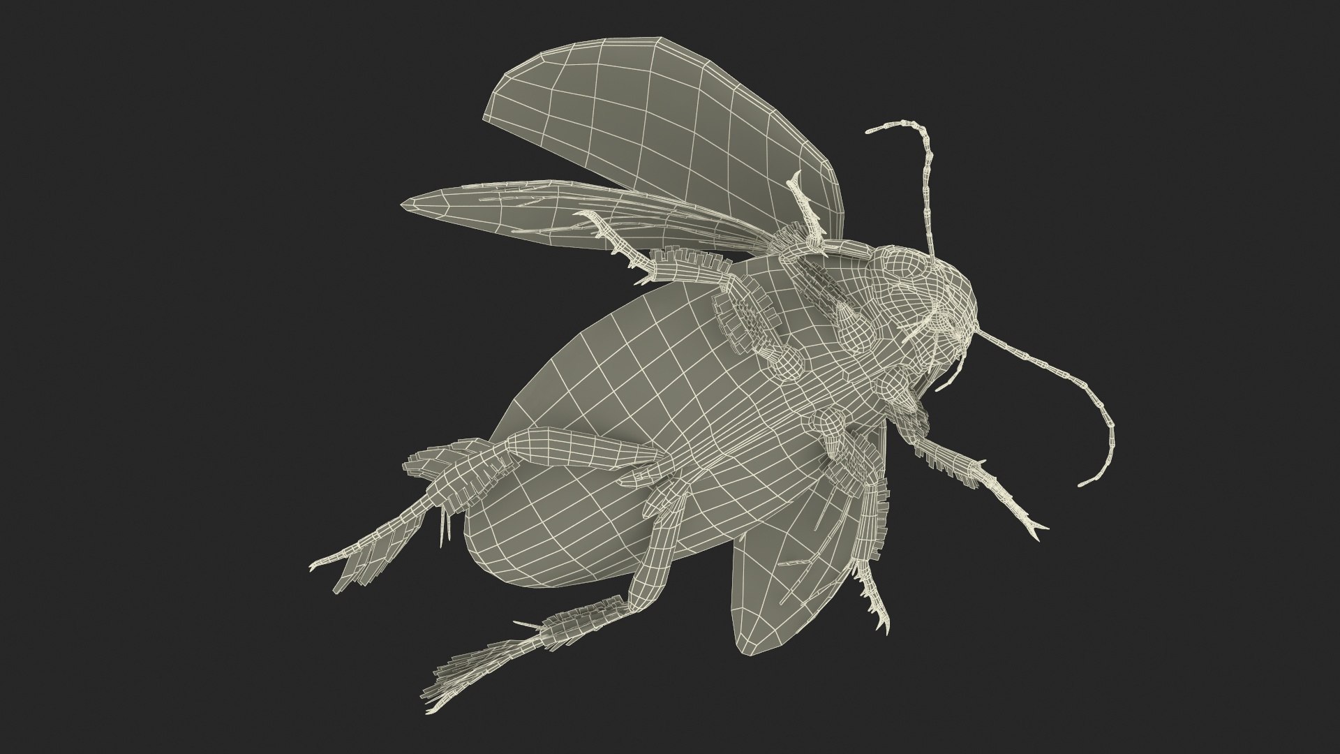 Hygrobia Beetle Beige Realistic Flying 3D model https://p.turbosquid.com/ts-thumb/Wq/kcVtwe/OG/hygrobiabeetlebeigerealisticflyingvray3dmodel034/jpg/1718596292/1920x1080/fit_q87/1a8672402d3106942decfa0a1668d8dffe822f76/hygrobiabeetlebeigerealisticflyingvray3dmodel034.jpg