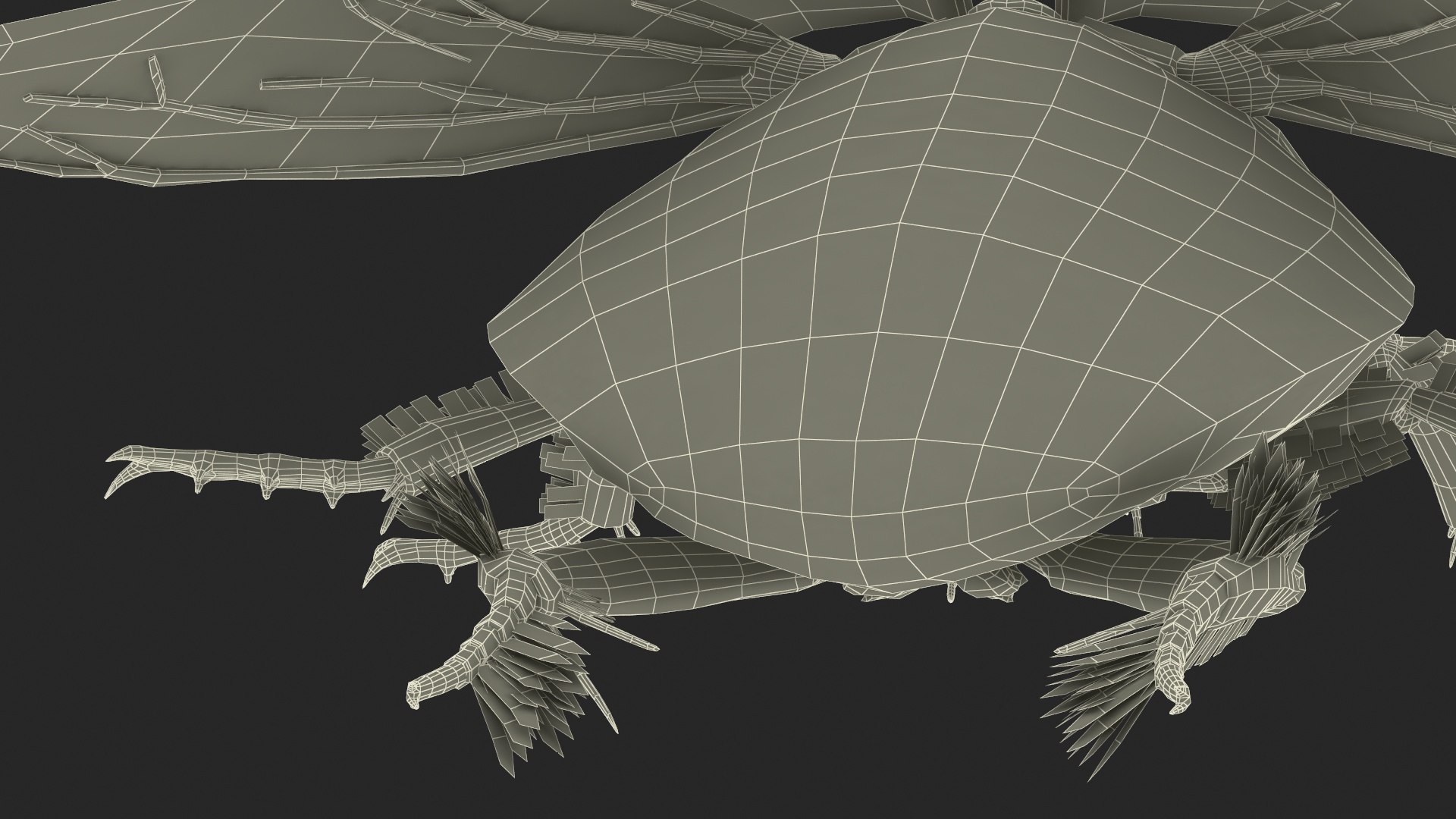 Hygrobia Beetle Beige Realistic Flying 3D model https://p.turbosquid.com/ts-thumb/Wq/kcVtwe/hd/hygrobiabeetlebeigerealisticflyingvray3dmodel036/jpg/1718596298/1920x1080/fit_q87/819400833f34ccef56e2625c6caa5e884c6e6a7f/hygrobiabeetlebeigerealisticflyingvray3dmodel036.jpg