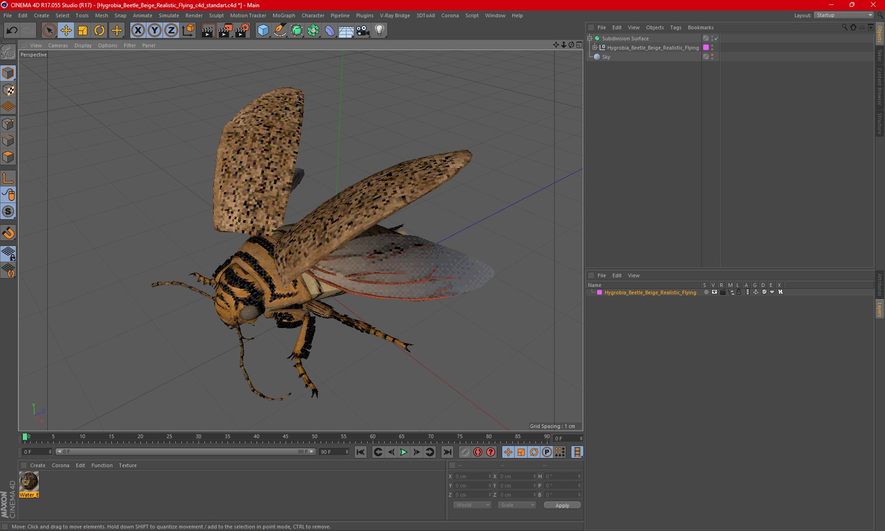Hygrobia Beetle Beige Realistic Flying 3D model https://p.turbosquid.com/ts-thumb/Wq/kcVtwe/tM/hygrobiabeetlebeigerealisticflyingvray3dmodel027/jpg/1718596268/1920x1080/fit_q87/ec415e22a19d1ebe32f015c55397abeea81351ca/hygrobiabeetlebeigerealisticflyingvray3dmodel027.jpg