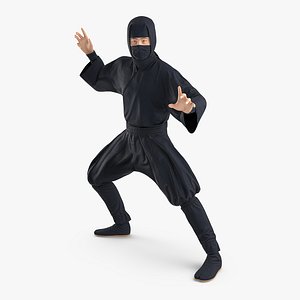 3D japan ninja fighting pose