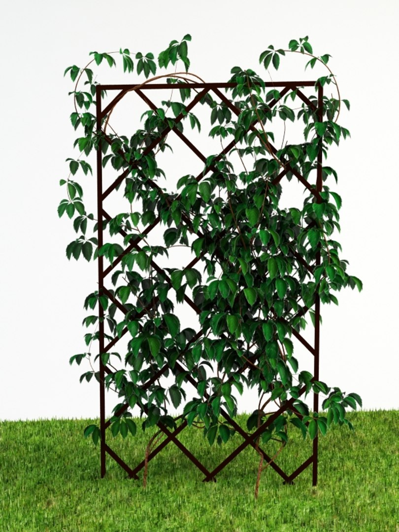 3d render https://p.turbosquid.com/ts-thumb/Wr/1CqzXo/5m8Ddigk/pergola_4_3/jpg/1316633130/1920x1080/fit_q87/b4bee96fd07d1102449a1ddedfc4d3d583f3a8a1/pergola_4_3.jpg